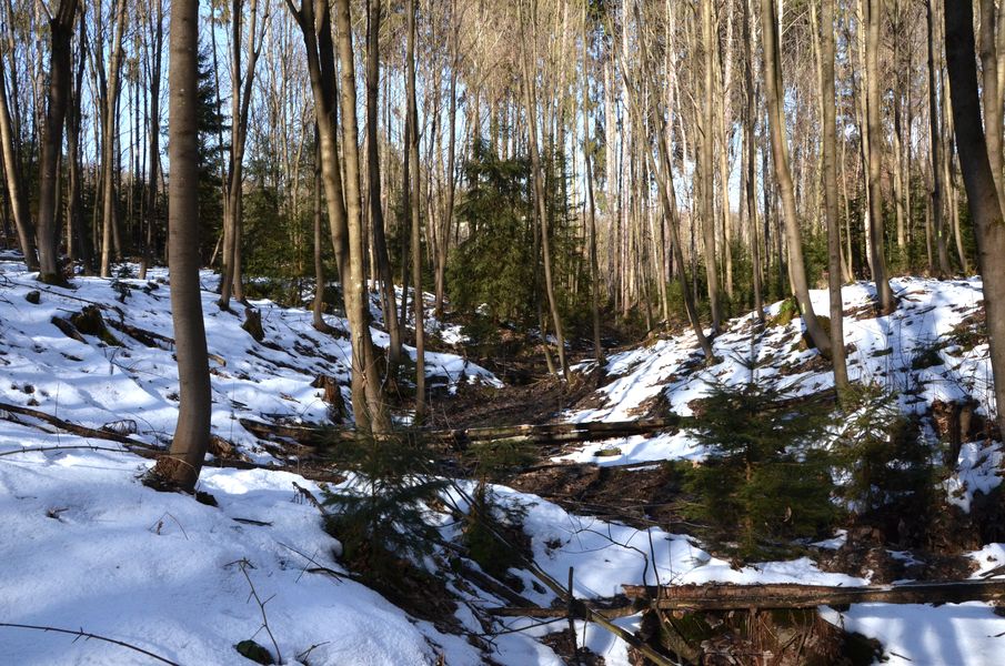 Rieky a potoky v Žiline
